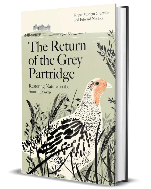 The Return of the Grey Partridge